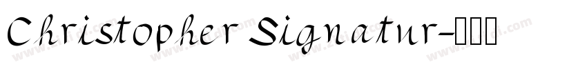 Christopher Signatur字体转换
